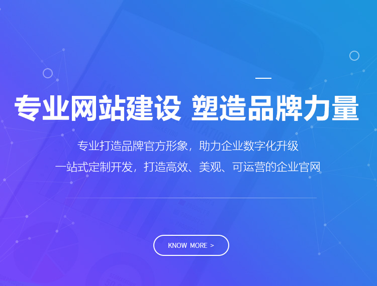 庆阳建站-专业网站建设 塑造品牌力量